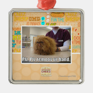 PLZ remoov ur Hand Silbernes Ornament