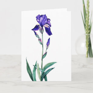 PMACarlson Garden Iris Card Karte