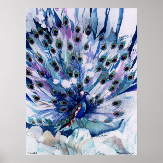 PMACarlson Peacock I Poster (Vorne)