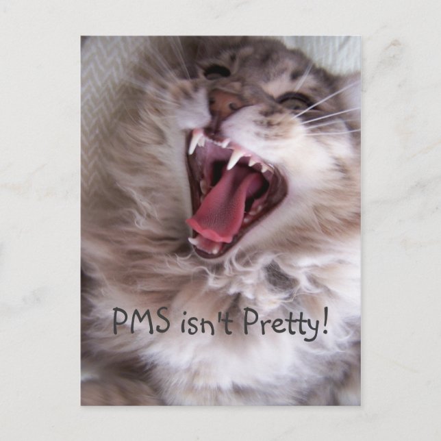 PMS ist nicht Hübsch! Postkarte (Vorderseite)