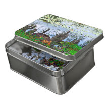 Pneumatophos, Schildkrötendrachensee