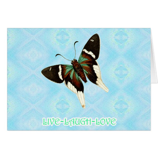 POCB02-182 (Devant horizontal)