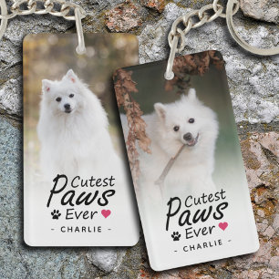 Poches Cutest Ever Animal Photo Amoureux des chien