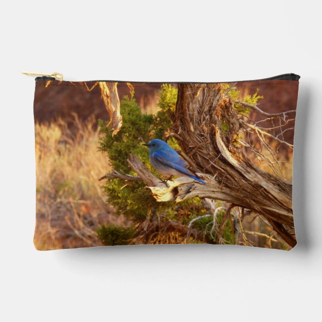 Pochette À Accessoires Mountain Bluebird at Arches National Park (Recto)