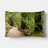 Muir Woods Path II Nature Photography