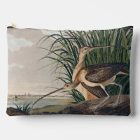 Oiseau de Courlis à long bec Audubon