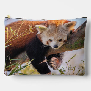 Pochette À Accessoires Petit panda rouge pâle