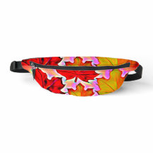 Pochette Studio16