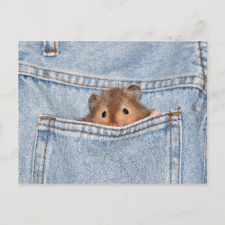 Pocket-Begleiter Postkarte
