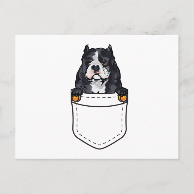 Pocket Bully Dog Einladungspostkarte (Vorderseite)