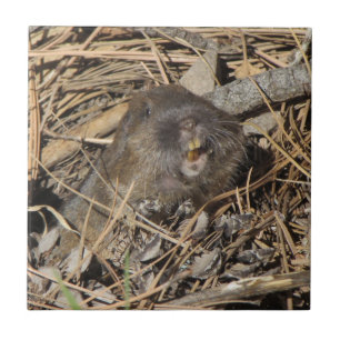 Pocket Gopher Fliese