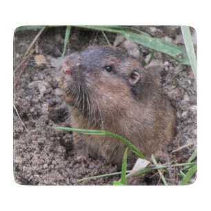 Pocket Gopher Schneidebrett