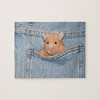 Pocket Hamster