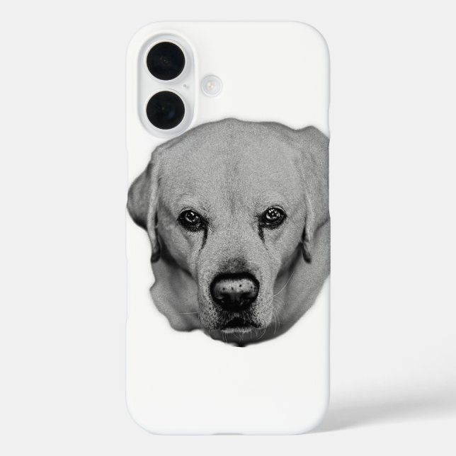 Pocket Lookout iPhone 16 Hülle (Rückseite)