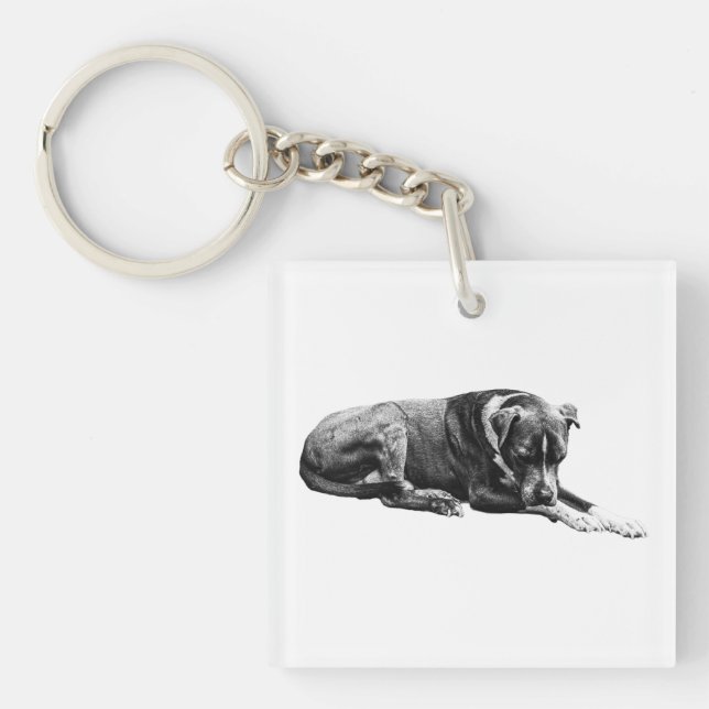 Pocket Lounge Hund Schlüsselanhänger (Vorderseite)