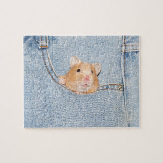 Pocket Pet