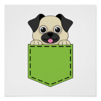 Pocket Pet Hund