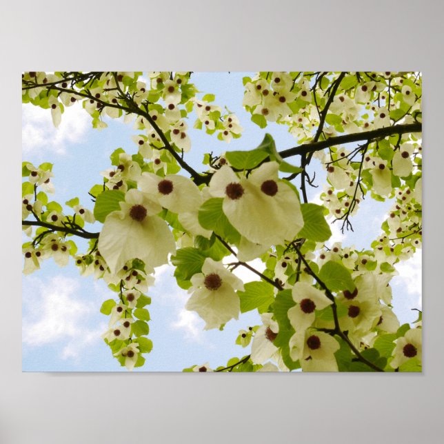 Pocket Taschentuch Tree Blossom Poster (Vorne)