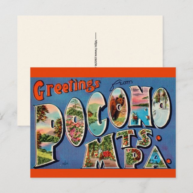 Pocono Mountains Vintage Postkarte (Vorne/Hinten)