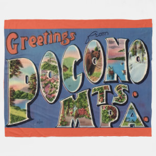 Pocono Mtns Vintage Postkarten-Flanelldecke Fleecedecke