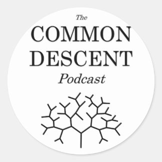 Podcast-Aufkleber Runder Aufkleber