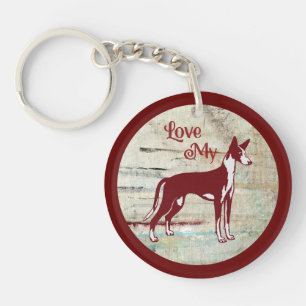Podenco d'Ibiza
