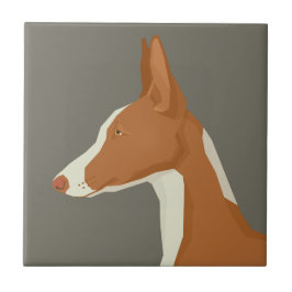 Podenco Ibicenco Fliese