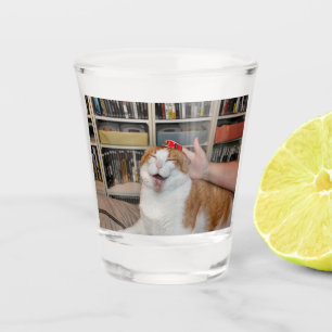Podgy Scarlett Schnapsglas