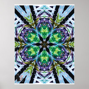 Pods Kinetic Collage Kaleidoscope Poster