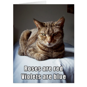 Poème drôle de chat de Valentine GRAND