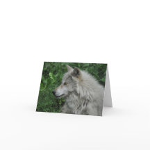 Poème WILDERNESS WOLF sur une carte de note