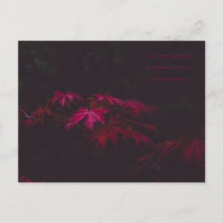 Poesie-Karte Postkarte