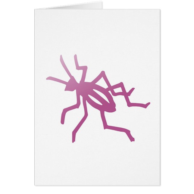 Poetica Pink Cricket (Vorne)