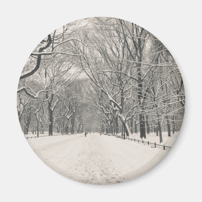 Poet's Walk - Central Park Winter Magnet (Vorne)