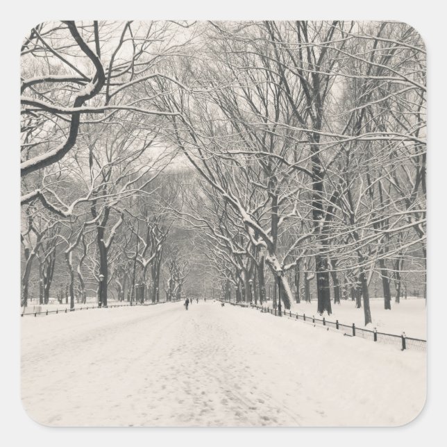 Poet's Walk - Central Park Winter Quadratischer Aufkleber (Vorderseite)