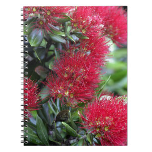 Pohutukawa-Bäume Notizblock