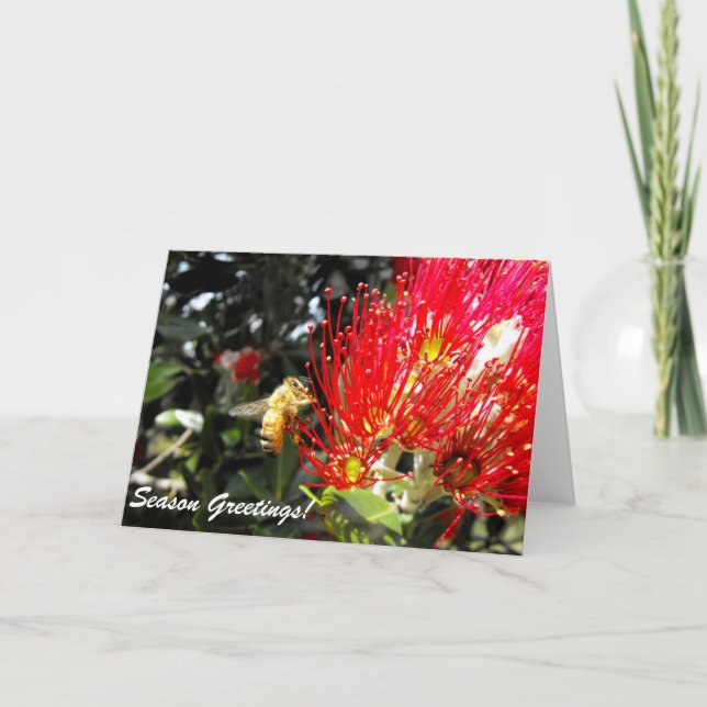Pohutukawa Bloom Fête Carte de voeux (Devant)