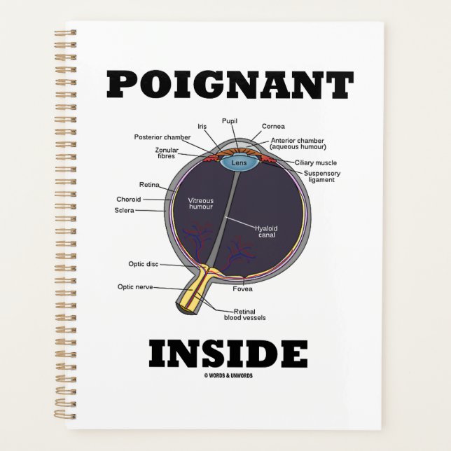Poignant Eye (I) Inside Anatomical Eyeball Planer (Vorderseite)