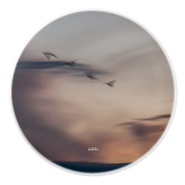 poignée de porte photo oiseaux abstraite (Devant)