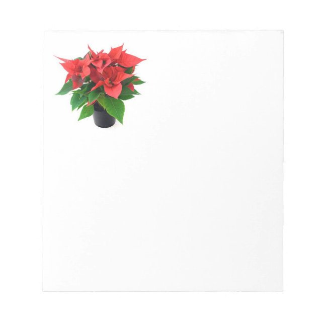 Poinsetta Notizblock (Vorderseite)