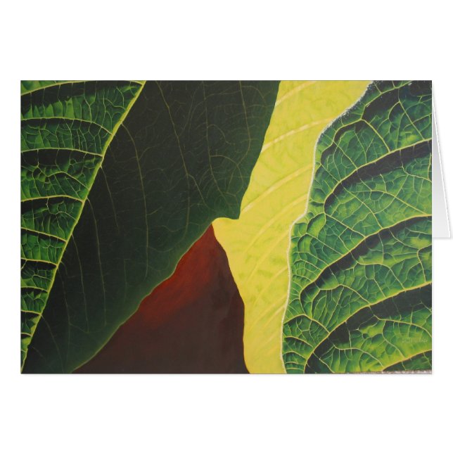 Poinsettia (Devant horizontal)