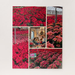 Poinsettia Add Your Photo Christmas Holiday Gift