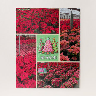 Poinsettia and Photo Template Christmas Holiday