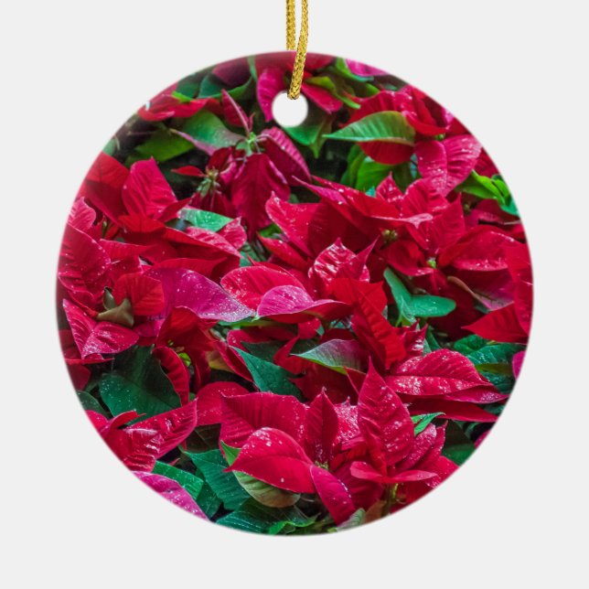 Poinsettia Arbre de Noël ornement (Devant)