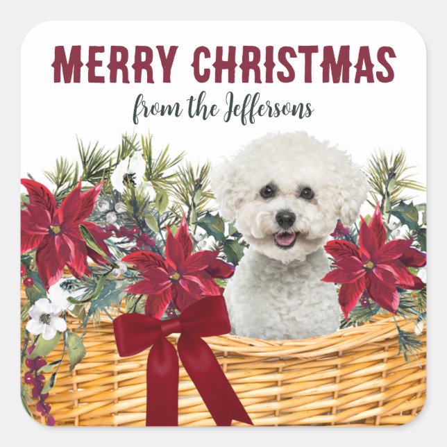 Poinsettia Bichon Frise Dog Weihnachtskorb Quadratischer Aufkleber (Vorderseite)
