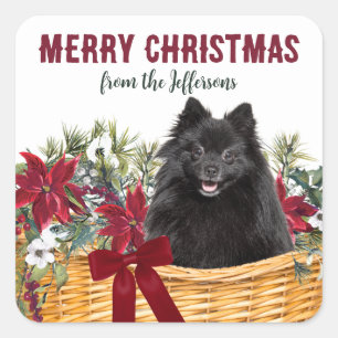 Poinsettia Black Spitz Weihnachtskorb Quadratischer Aufkleber