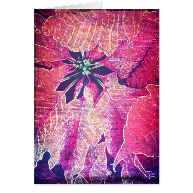 Poinsettia Blume Digitale Kunst (Vorne)