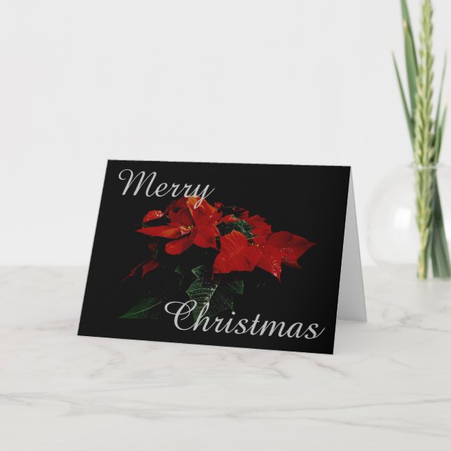 Poinsettia-Blumen-frohe Feiertagskarte (Vorderseite)
