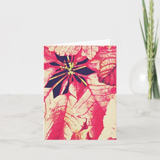 Poinsettia-Blumen-Weihnachten Feiertagskarte (Vorderseite)