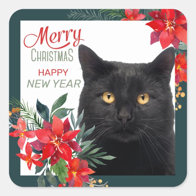 Poinsettia Border Black Cat Weihnachten Quadratischer Aufkleber (Vorderseite)